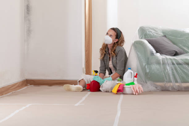 Reliable Mold Remediation contractor in Pulaski, NY by 24 Hour Mold Removal